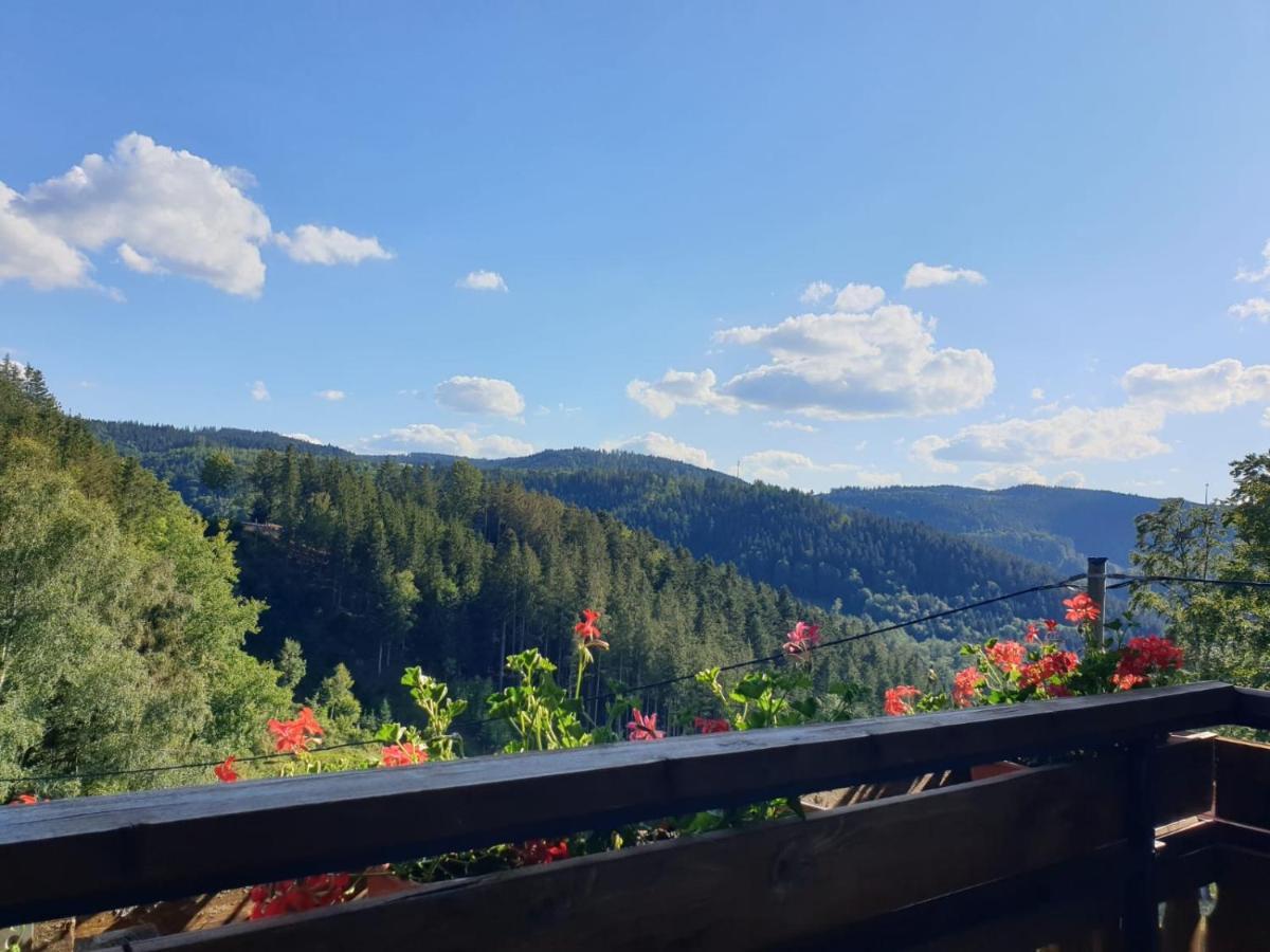 Apartament Landhaus Valentin Triberg im Schwarzwald Zewnętrze zdjęcie