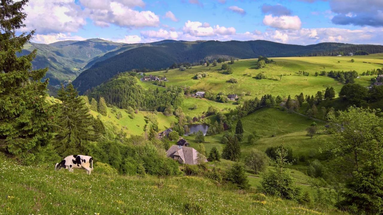 Apartament Landhaus Valentin Triberg im Schwarzwald Zewnętrze zdjęcie