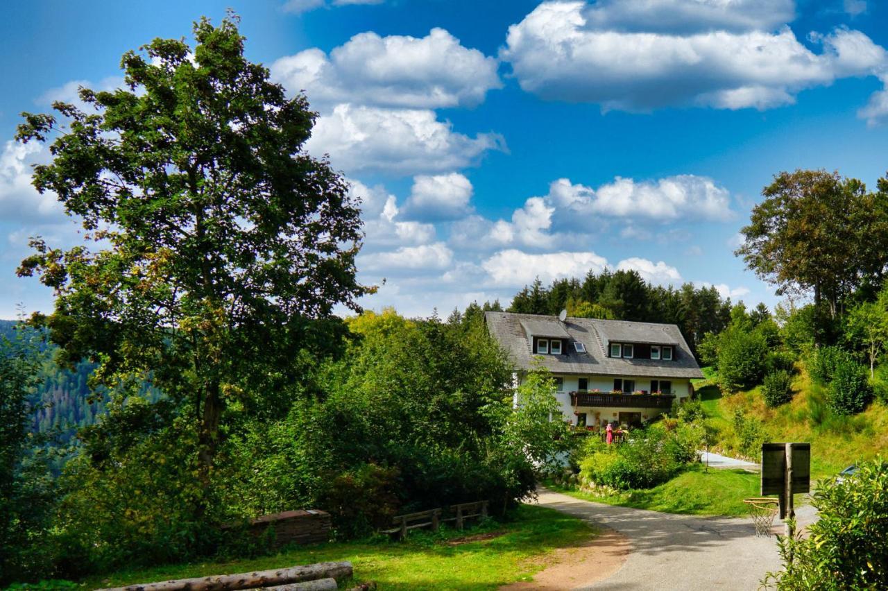 Apartament Landhaus Valentin Triberg im Schwarzwald Zewnętrze zdjęcie