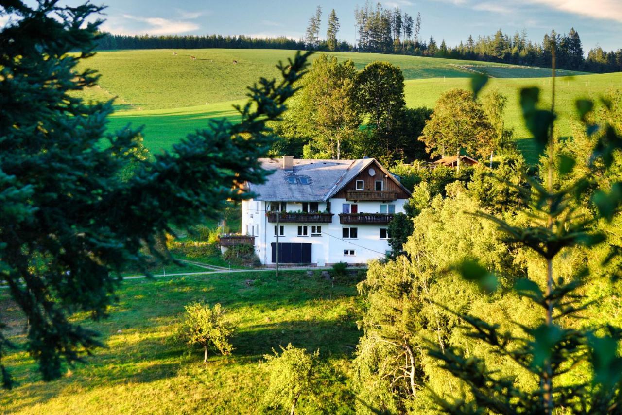 Apartament Landhaus Valentin Triberg im Schwarzwald Zewnętrze zdjęcie