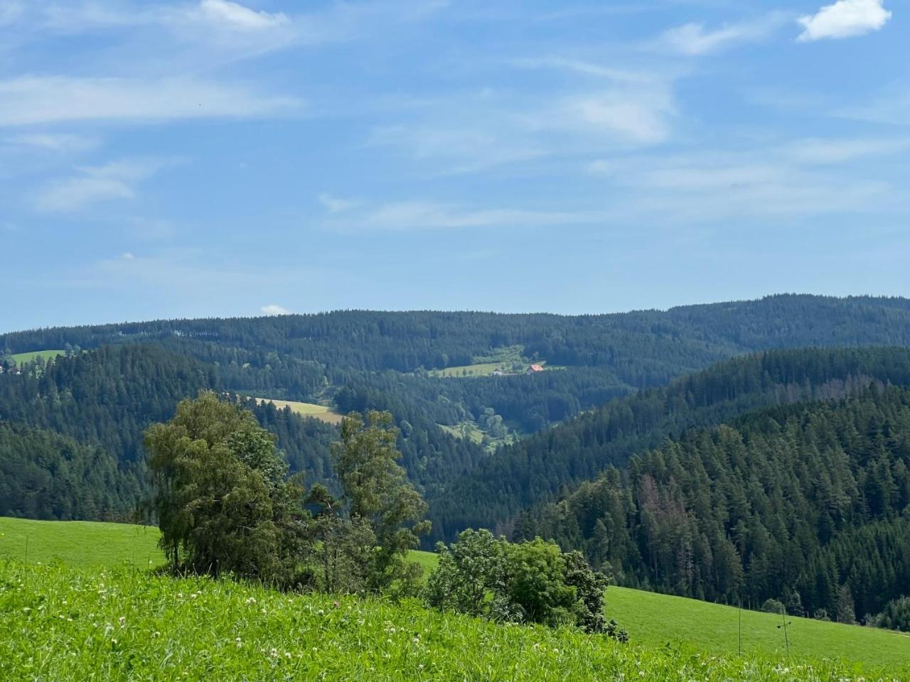 Apartament Landhaus Valentin Triberg im Schwarzwald Zewnętrze zdjęcie