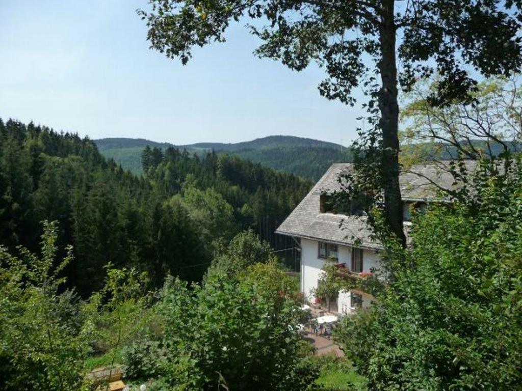 Apartament Landhaus Valentin Triberg im Schwarzwald Zewnętrze zdjęcie