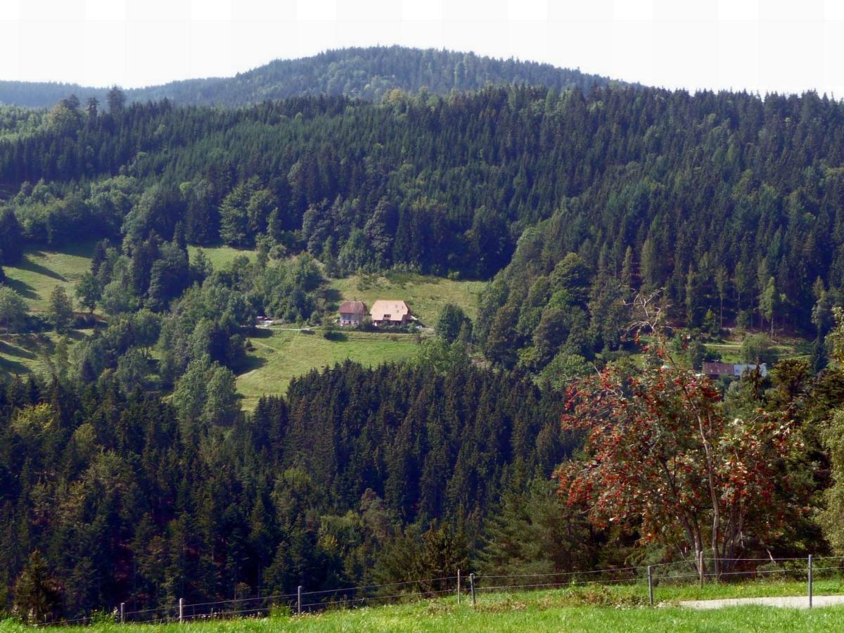 Apartament Landhaus Valentin Triberg im Schwarzwald Zewnętrze zdjęcie