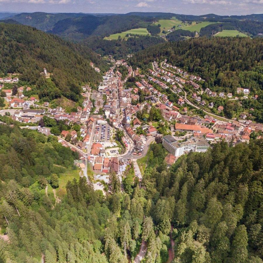 Apartament Landhaus Valentin Triberg im Schwarzwald Zewnętrze zdjęcie